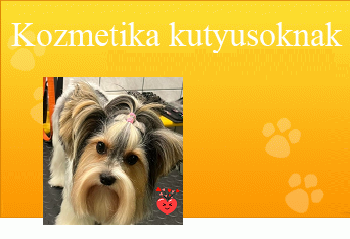 Kutyakozmetika Budapest